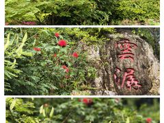 -广州市白云山风景名胜区