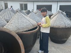 -苏州市吴中区光福窑上花果蜜饯厂