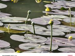 -明月山天沐温泉度假村