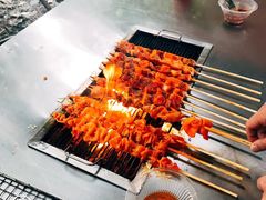 -铁山坪森林公园