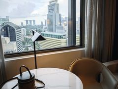 -新加坡乌节希尔顿酒店 (SG Clean)