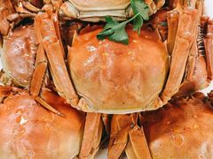 -外滩1288花园丽舍