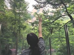 -嵖岈山风景区