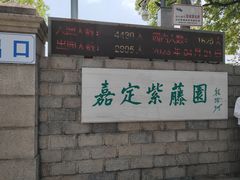 -嘉定紫藤园