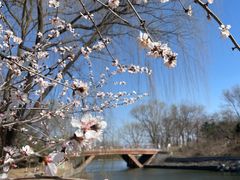 -大兴滨河森林公园