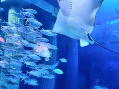 -正佳极地海洋世界