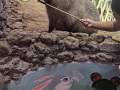 -正佳雨林生态植物园