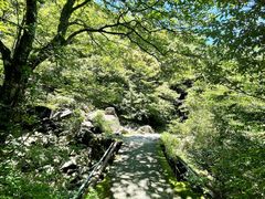 -萍乡武功山风景名胜区