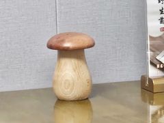 -菌极鲜野生菌火锅店(阳明祠店)
