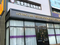 -宠爱国际动物医院· 猫科· 外科·中兽医(长白店)