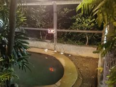 -天赐温泉
