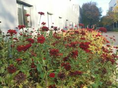 -北京国家会计学院