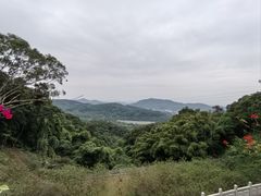 -广州市帽峰山景区