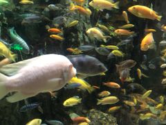 -太平洋海底世界