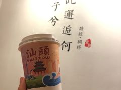 正岩红袍-一杯潮茶·专注潮汕茶饮(十二中创始店)