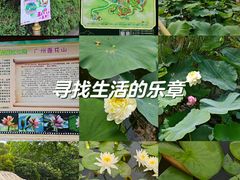 -广州莲花山旅游区