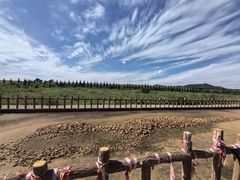 -查海遗址博物馆
