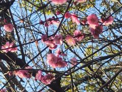 -云南师范大学(一二一西南联大校区)