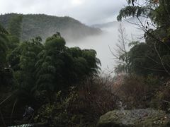 -藏龙百瀑风景区