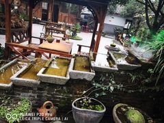 -青城甲(青城山店)