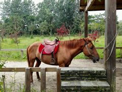 马-溱湖国家湿地公园