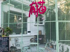 -有猫主题·治愈系猫咖(曾厝垵店)