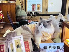 -南普陀素菜馆