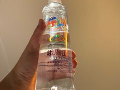 -成都峨眉雪芽大酒店