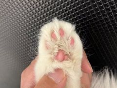 -comecome来吧宠物(奥克斯中心店)