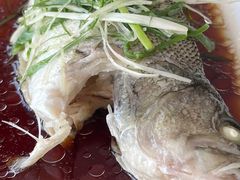 清蒸鲈鱼-云中小雅