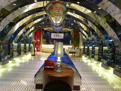 像不像会所哇-唐宫海鲜舫