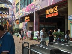 -苏州乐园森林水世界