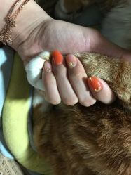 -AKIRA 安久日式美甲美睫