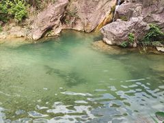 -南海湾森林生态园