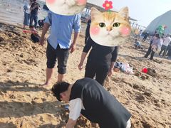 -碧海金沙