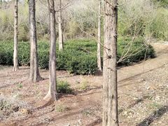 -南京金牛湖风景区