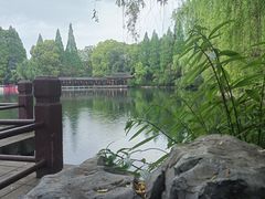 -成都南湖公园