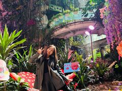 -正佳雨林生态植物园