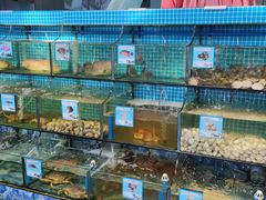 -范饭椰林川湘味海鲜·椰子鸡(三亚湾椰梦长廊店)