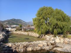 -泰山风景名胜区-虎山公园