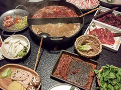 -大龙燚·旷野鲜火锅(广州首店)