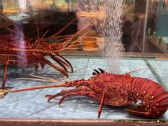 -阿伟海鲜楼·福建菜(延寿店)