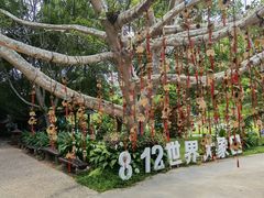 -野象谷景区