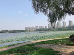 -丁香湖公园