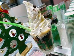-Salud撒露欧洲冻酸奶(北苑上品店)