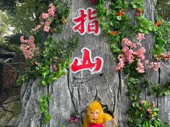 -南湖梦幻岛