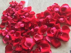 -三利音·浦之舟(滨江大道店)