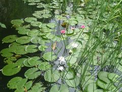 -镇江市南山风景名胜区竹林景区