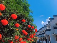 -黄山翡翠谷景区