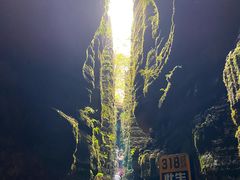 -梭布垭石林景区